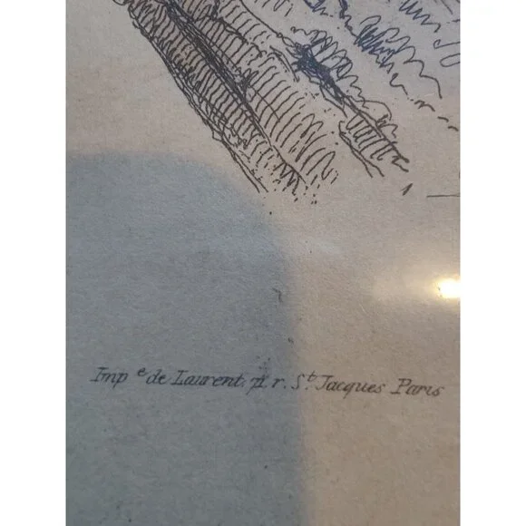 Antique Buffon Engraving Hand Colored 2 Monkeys 'Le Ouititi Le Tamarin' 10x7" - Picture 8 of 10